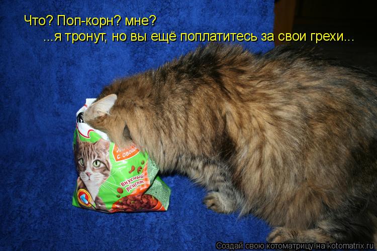 Котоматрица: Что? Поп-корн? мне? ...я тронут, но вы ещё поплатитесь за свои грехи...