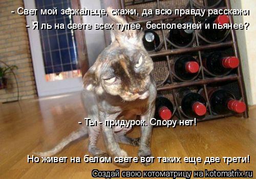 - Свет мой зеркальце, скажи, да всю правду расскажи - Я ль на свете всех тупее, бесполезней и пьянее... Котоматрица: - Свет мой зеркальце, скажи, да всю правду расскажи - Я ль на свете всех тупее, бесполезней и пьянее? - Ты - придурок. Спору нет! Но живет на бел