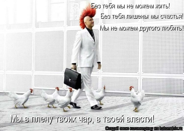 Без тебя мы не можем жить! Без тебя лишены мы счастья! Мы не можем другого любить! Мы в плену твоих ... Котоматрица: Без тебя мы не можем жить! Без тебя лишены мы счастья! Мы не можем другого любить! Мы в плену твоих чар, в твоей власти!