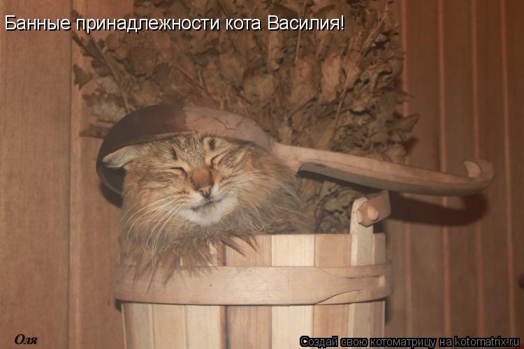 Котоматрица: Банные принадлежности кота Василия!