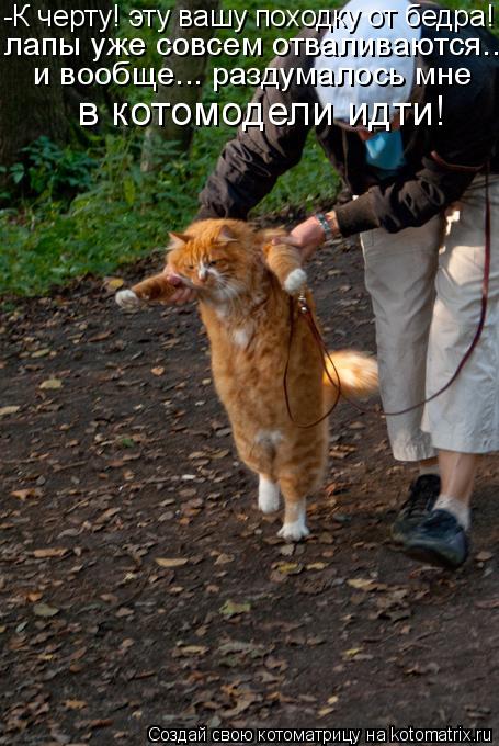 Котоматрица: -К черту! эту вашу походку от бедра! лапы уже совсем отваливаются... и вообще... раздумалось мне в котомодели идти лапы уже совсем отваливаютс