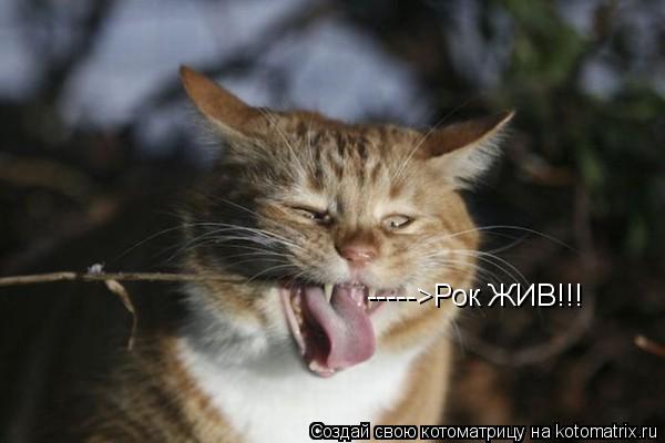 Котоматрица: ----->Рок ЖИВ!!!