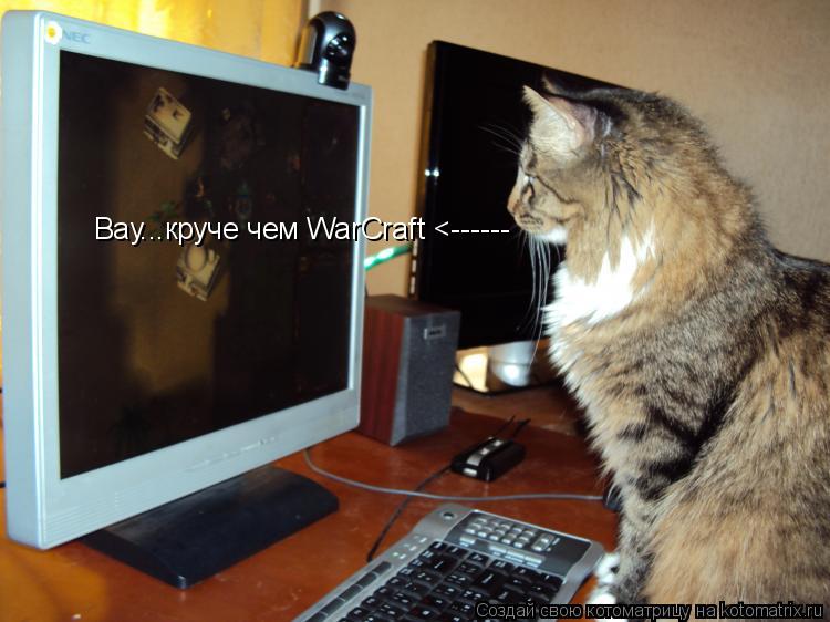 Котоматрица: Вау...круче чем WarCraft <------