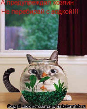 Котоматрица: А предупреждал хозяин : Не перебирай с водкой!!!
