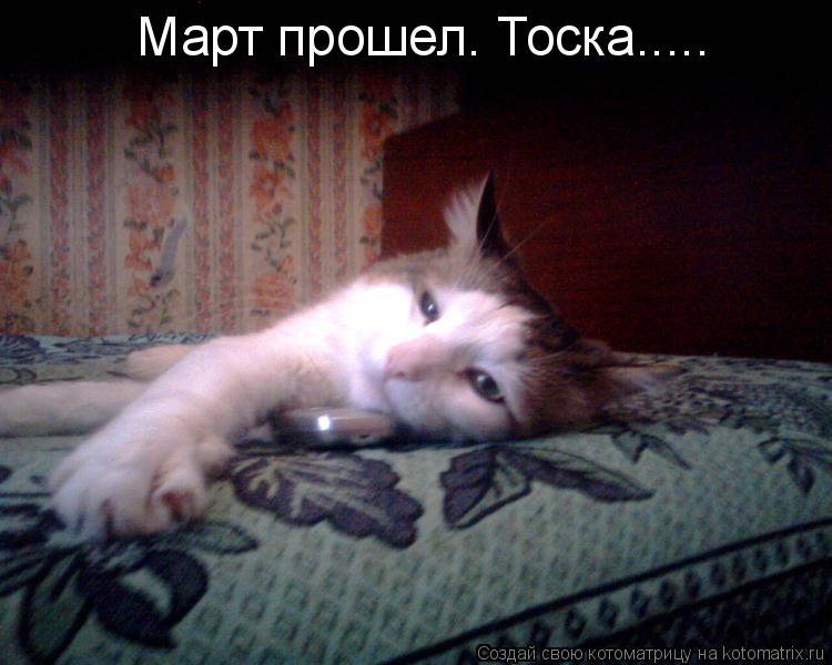 Котоматрица: Март прошел. Тоска.....