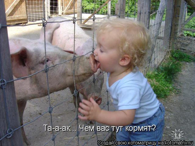 Та-а-ак... Чем вас тут кормят?... Котоматрица: Та-а-ак... Чем вас тут кормят?
