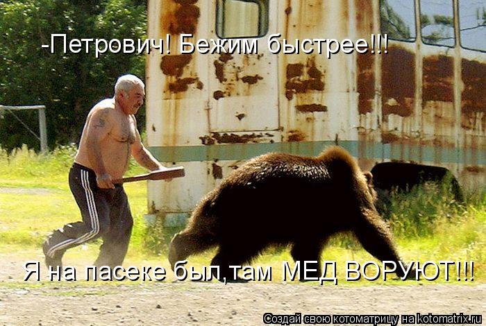 Котоматрица: -Петрович! Бежим быстрее!!! Я на пасеке был,там МЕД ВОРУЮТ!!!