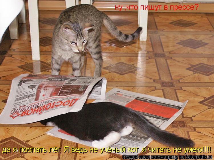 Котоматрица: ну ,что пишут в прессе? да я поспать лёг. Я ведь не учёный кот. я читать не умею!!!!