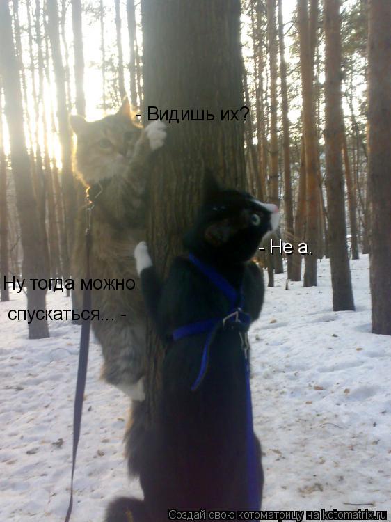 Котоматрица: - Видишь их? - Не а. Ну тогда можно спускаться... -