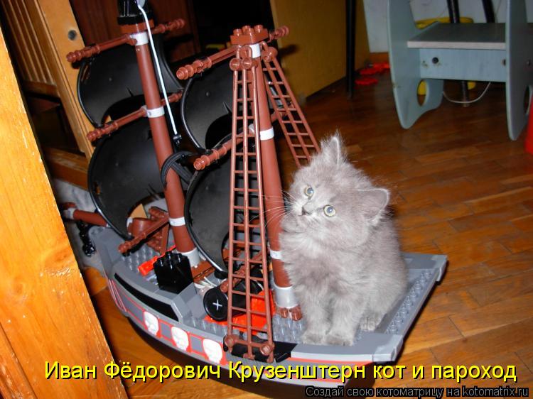 Котоматрица: Иван Фёдорович Крузенштерн кот и пароход