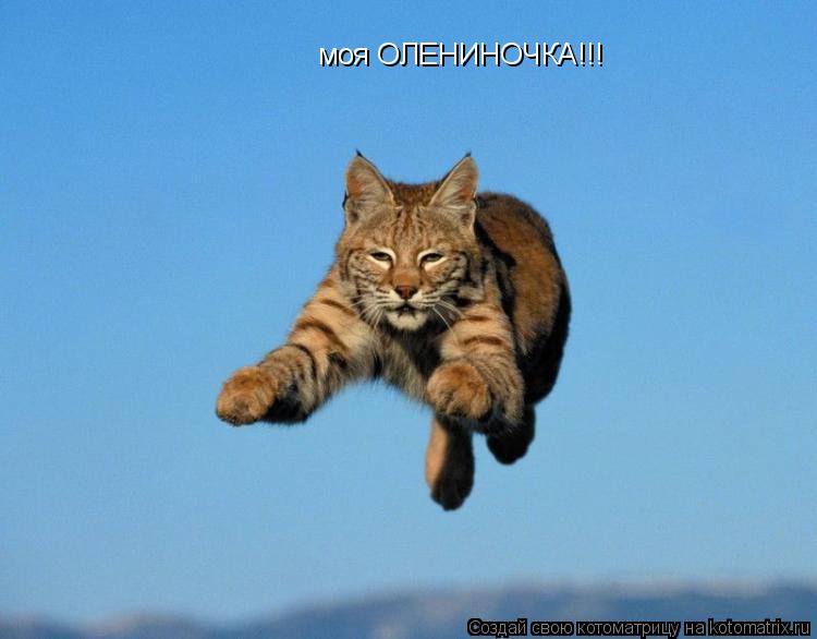 Котоматрица: моя ОЛЕНИНОЧКА!!!