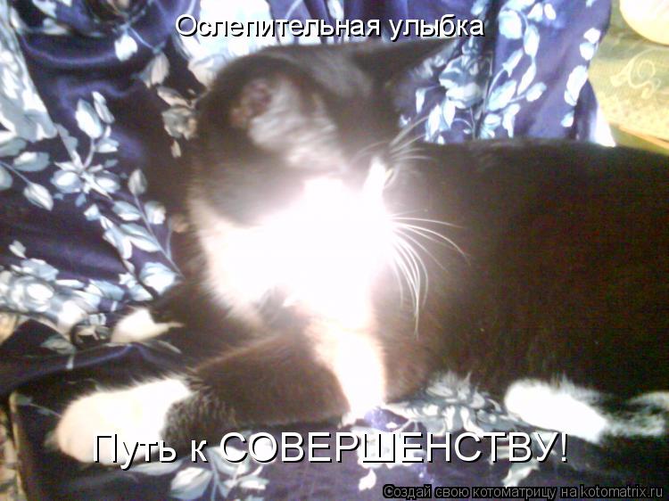 Котоматрица: Ослепительная улыбка Путь к СОВЕРШЕНСТВУ!