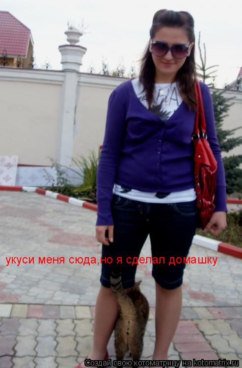 Котоматрица: укуси меня сюда,но я сделал домашку