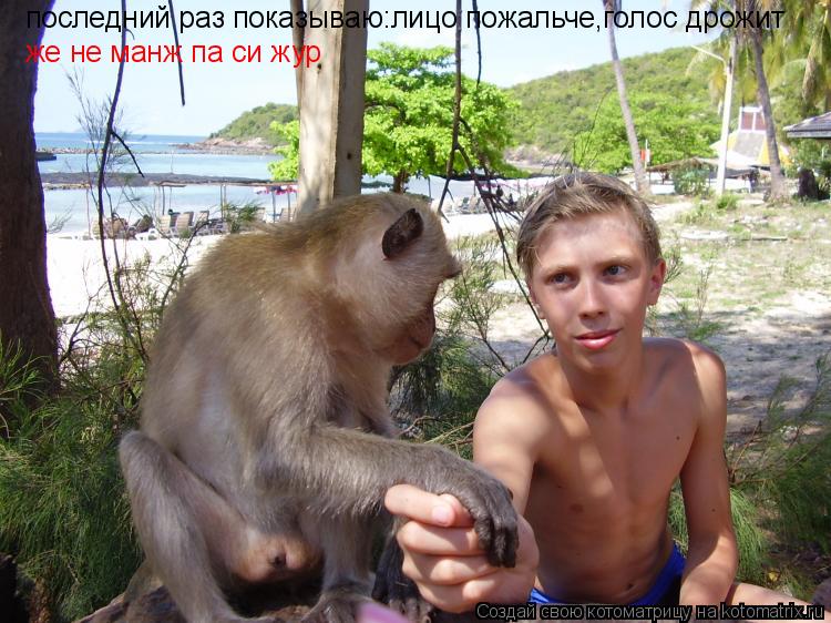 Котоматрица: последний раз показываю:лицо пожальче,голос дрожит же не манж па си жур