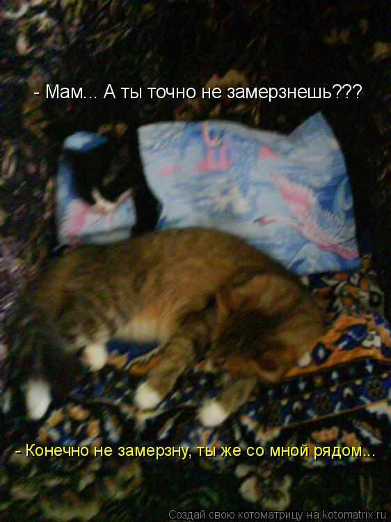 Котоматрица: - Мам... А ты точно не замерзнешь??? - Конечно не замерзну, ты же со мной рядом...