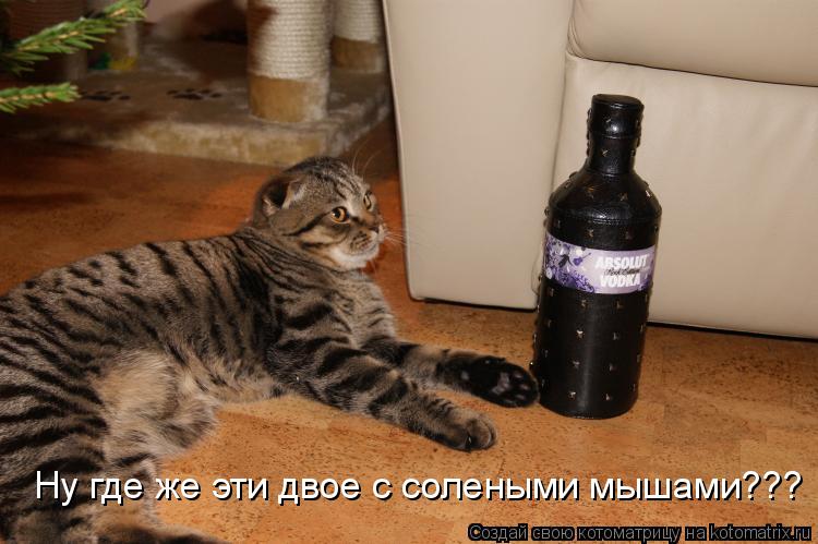 Котоматрица: Ну где же эти двое с солеными мышами???