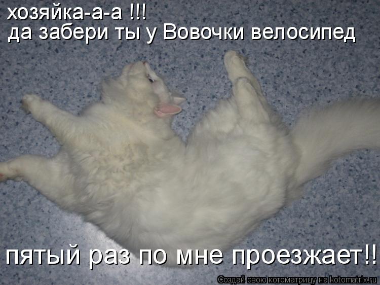 Котоматрица: да забери ты у Вовочки велосипед хозяйка-а-а !!! пятый раз по мне проезжает!!!