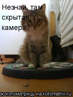 Котоматрица: Незнай, там  скрытая  камера?