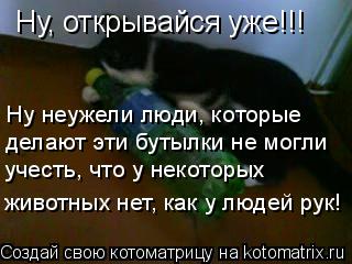 Котоматрица: Ну, открывайся уже!!! Ну неужели люди, которые  делают эти бутылки не могли учесть, что у некоторых  животных нет, как у людей рук!