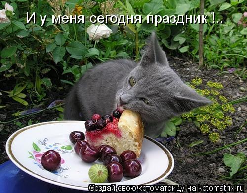 Котоматрица: И у меня сегодня праздник !..
