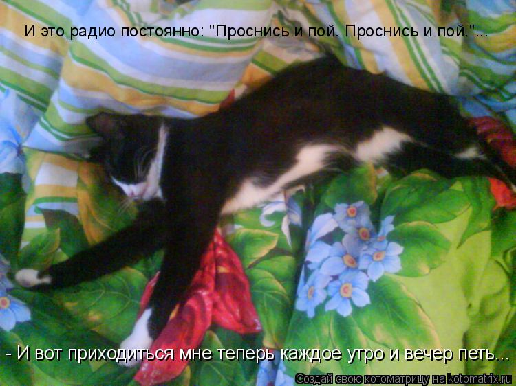 Котоматрица: И это радио постоянно: "Проснись и пой. Проснись и пой."... - И вот приходиться мне теперь каждое утро и вечер петь...