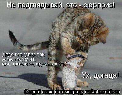 Котоматрица: Дядя кот, у вас так мы, наверное, идём кушать? животик урчит, Не подглядывай, это - сюрприз! Ух, догада!