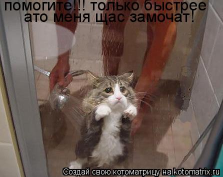 Котоматрица: помогите!!! только быстрее помогите!!! только быстрее ато меня щас замочат!