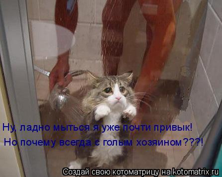 Котоматрица: Ну, ладно мыться я уже почти привык! Но почему всегда с голым хозяином???!