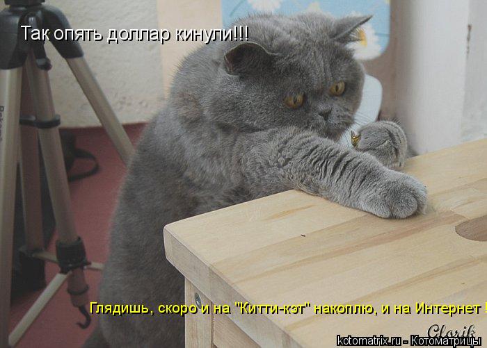 Котоматрица: Так опять доллар кинули!!!  Глядишь, скоро и на "Китти-кэт" накоплю, и на Интернет !