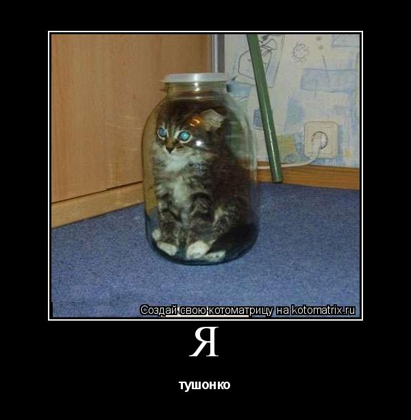 Котоматрица: я тушонко