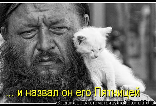 Котоматрица: ... и назвал он его Пятницей