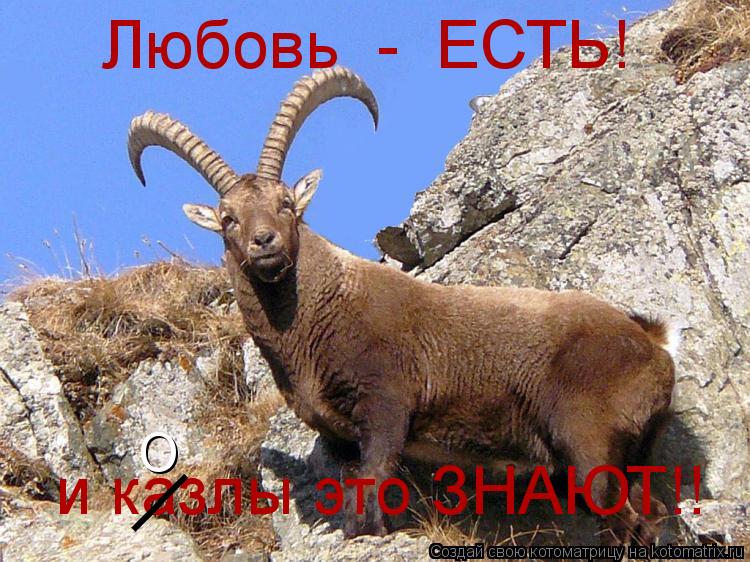 Котоматрица: Любовь  -  ЕСТЬ!   и казлы это ЗНАЮТ!!  __ O
