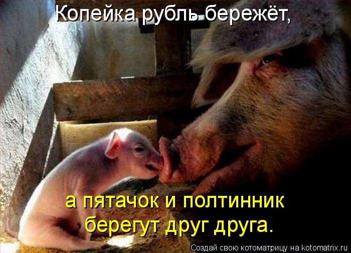 Котоматрица: Копейка рубль бережёт, а пятачок и полтинник  берегут друг друга.