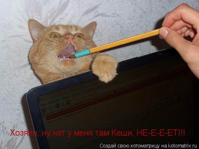 Котоматрица: Хозяин, ну нет у меня там Кеши, НЕ-Е-Е-ЕТ!!!