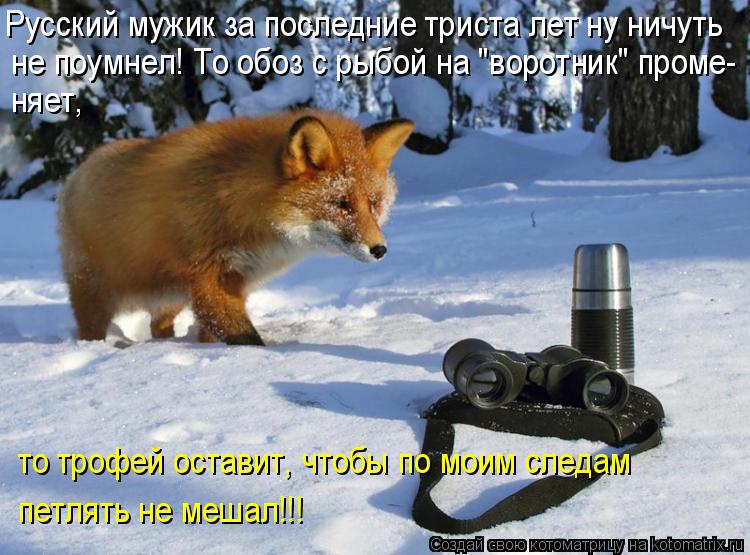 Котоматрица: Русский мужик за последние триста лет ну ничуть  не поумнел! То обоз с рыбой на "воротник" проме- няет, то трофей оставит, чтобы по моим следам
