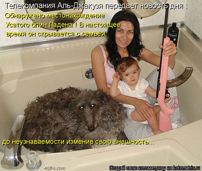 Котоматрица: Обнаружено местонахождение  Телекомпания Аль-Джакузя передает новость дня : Усатого блин Ладена ! В настоящее время он скрывается с семьёй,