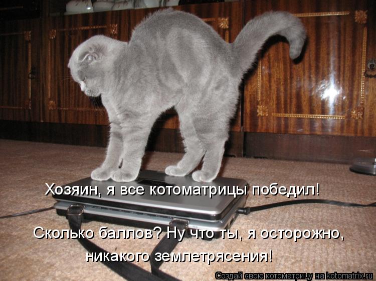 Котоматрица: Хозяин, я все котоматрицы победил!  Сколько баллов? Ну что ты, я осторожно,  никакого землетрясения!
