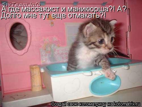 Котоматрица: А где массажист и маникюрша?! А? Долго мне тут еще отмакать?!