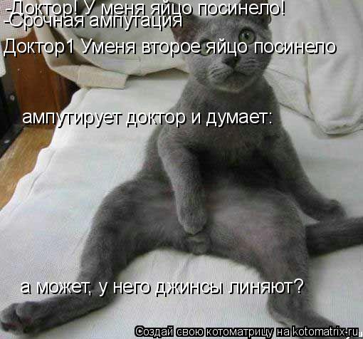 -Доктор! У меня яйцо посинело! -Срочная ампутация Доктор1 Уменя второе яйцо посинело а может, у него ... Котоматрица: -Доктор! У меня яйцо посинело! -Срочная ампутация Доктор1 Уменя второе яйцо посинело а может, у него джинсы линяют? ампутирует доктор и думае