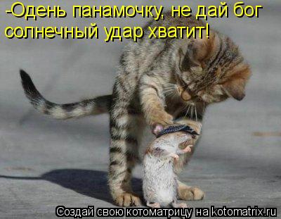 -Одень панамочку, не дай бог солнечный удар хватит!... Котоматрица: -Одень панамочку, не дай бог солнечный удар хватит!