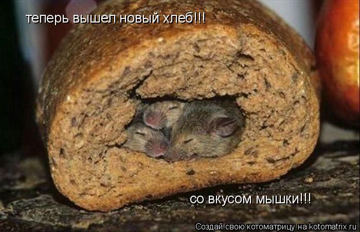 теперь вышел новый хлеб!!! со вкусом мышки!!!... Котоматрица: теперь вышел новый хлеб!!! со вкусом мышки!!!