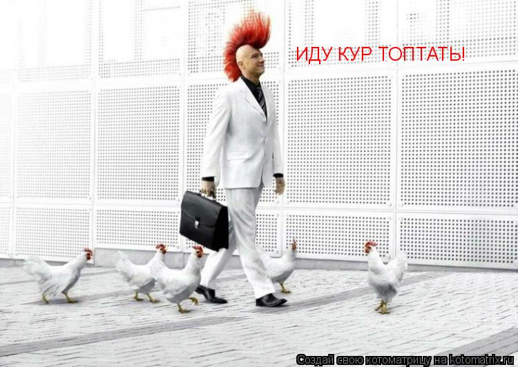 ИДУ КУР ТОПТАТЬ!... Котоматрица: ИДУ КУР ТОПТАТЬ!