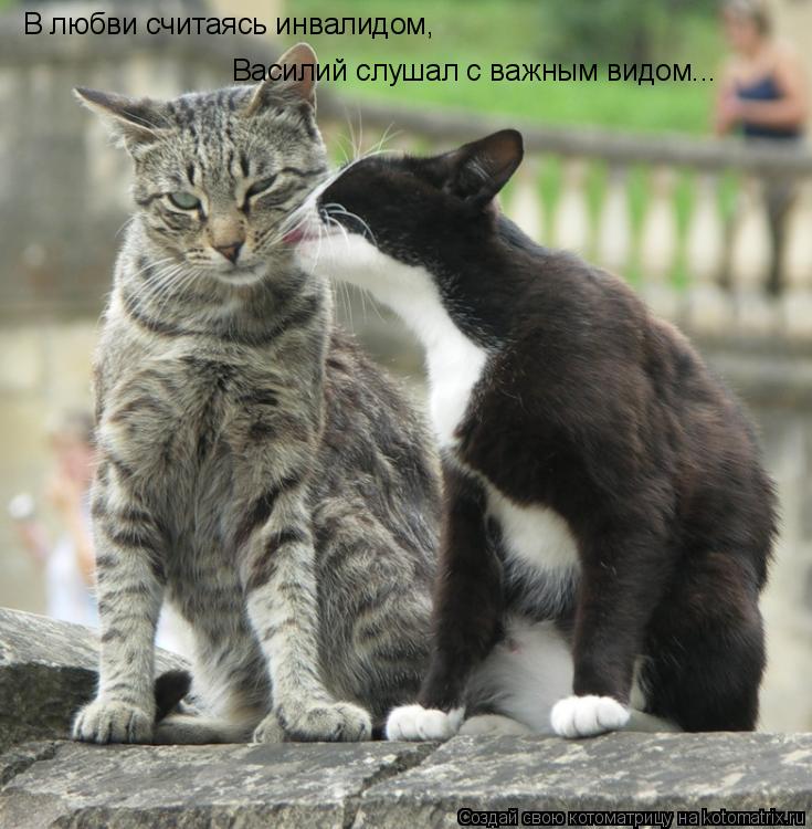 Котоматрица: В любви считаясь инвалидом,  Василий слушал с важным видом...