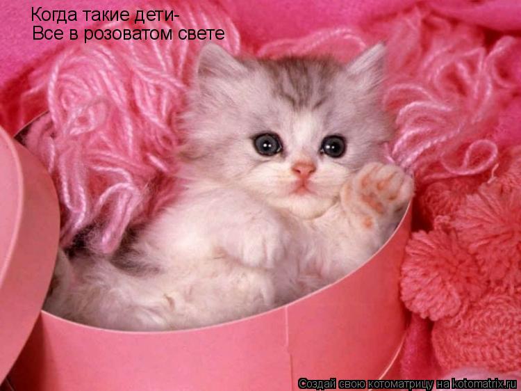 Котоматрица: Когда такие дети- Все в розоватом свете