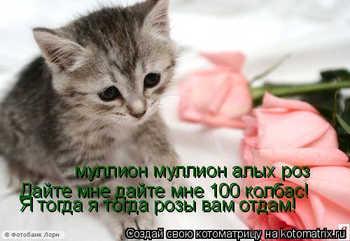 Котоматрица: муллион муллион алых роз Дайте мне дайте мне 100 колбас! Я тогда я тогда розы вам отдам!