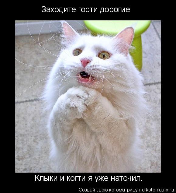 Котоматрица: Заходите гости дорогие! Клыки и когти я уже наточил.