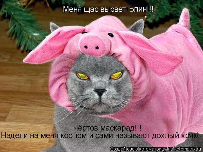 Котоматрица: Меня щас вырвет! Блин!!! Чёртов маскарад!!! Надели на меня костюм и сами называют дохлый хряк!