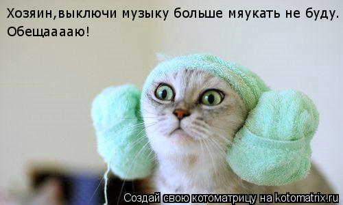 Хозяин,выключи музыку больше мяукать не буду. Обещааааю!... Котоматрица: Хозяин,выключи музыку больше мяукать не буду. Обещааааю!