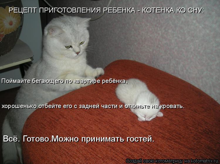РЕЦЕПТ ПРИГОТОВЛЕНИЯ РЕБЕНКА - КОТЕНКА КО СНУ: Поймайте бегающего по квартире ребёнка, хорошенько о... Котоматрица: РЕЦЕПТ ПРИГОТОВЛЕНИЯ РЕБЕНКА - КОТЕНКА КО СНУ: Поймайте бегающего по квартире ребёнка, хорошенько отбейте его с задней части и откиньте на