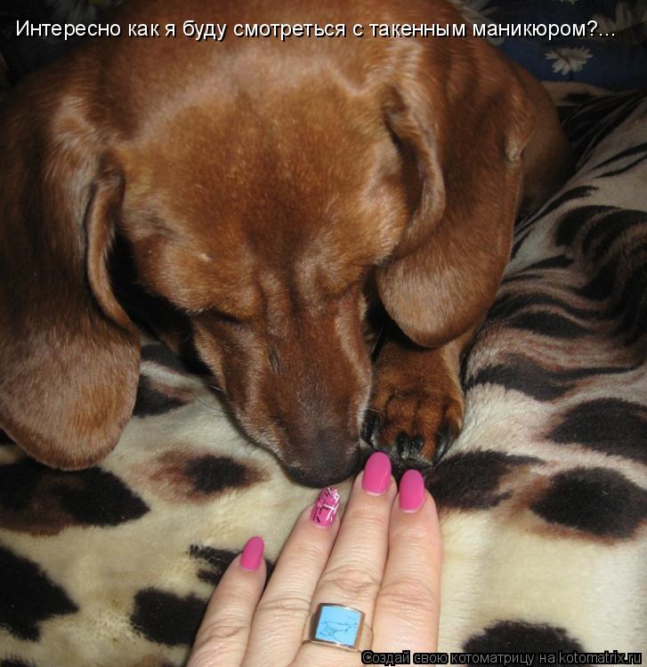 Котоматрица: Интересно как я буду смотреться с такенным маникюром?...